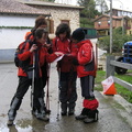 Albertia (214)